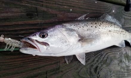 Fishing The Night Shift