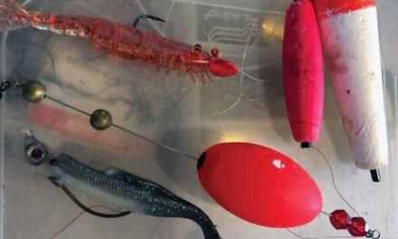 What Does Your Popping Cork Sound Like?