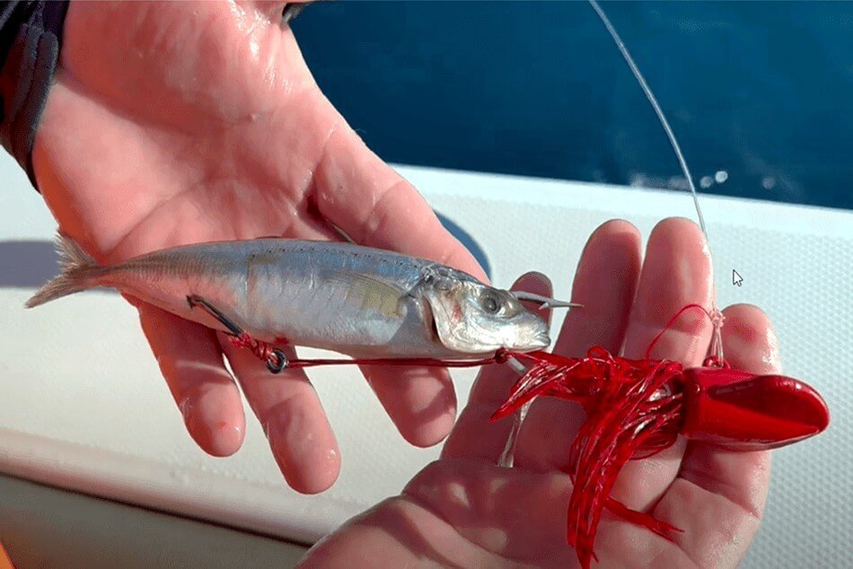 Crab Decoy Jig Rigging and Baiting