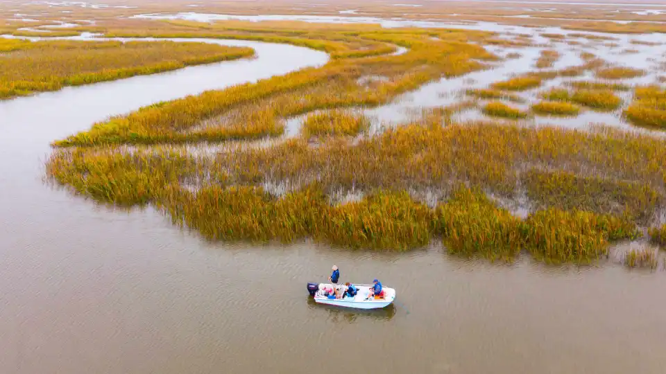 Edisto Island Estuary State Park in South Carolina 29438